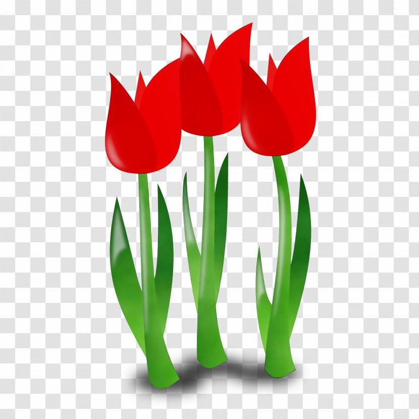 Happy Mother's Day - Leaf - Lily Family Coquelicot Transparent PNG