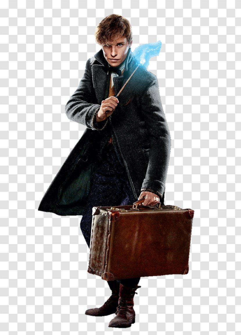 Newt Scamander Fantastic Beasts: The Crimes Of Grindelwald Beasts And Where To Find Them Professor Albus Dumbledore Harry Potter Deathly Hallows - Leather Transparent PNG