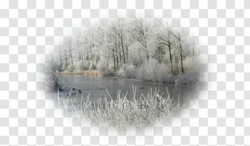 Landscape Painting Long Gallery Stock Photography Pinterest - Frost Transparent PNG