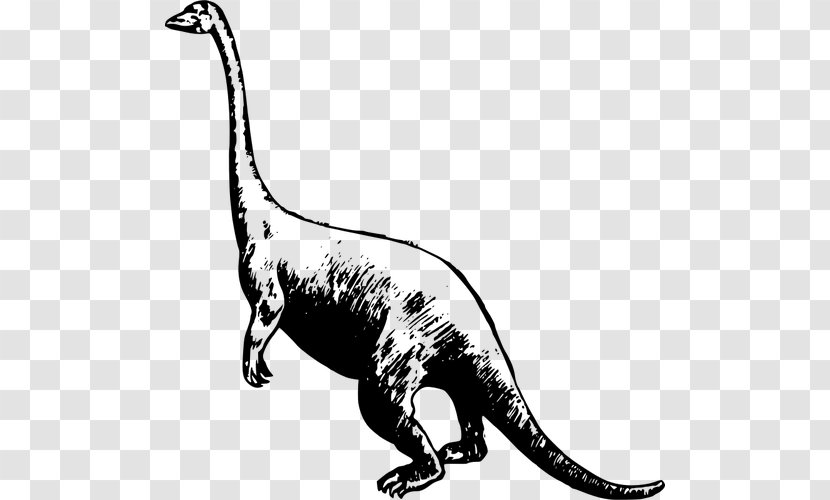 Tyrannosaurus Ankylosaurus Triceratops Deinonychus Velociraptor - Terrestrial Animal - Jurassic Park Transparent PNG