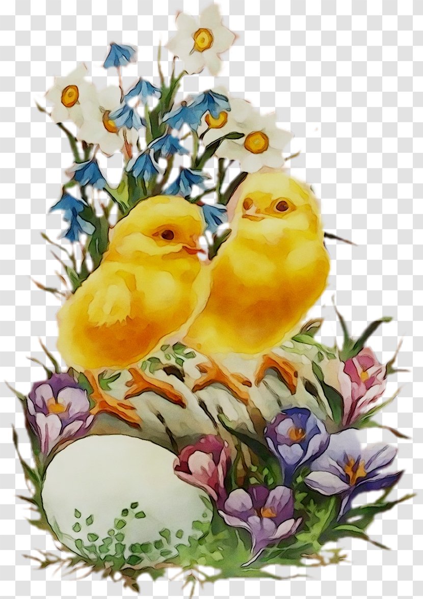 Easter Bunny Egg The Chicken Holiday - Spring - Wildflower Transparent PNG