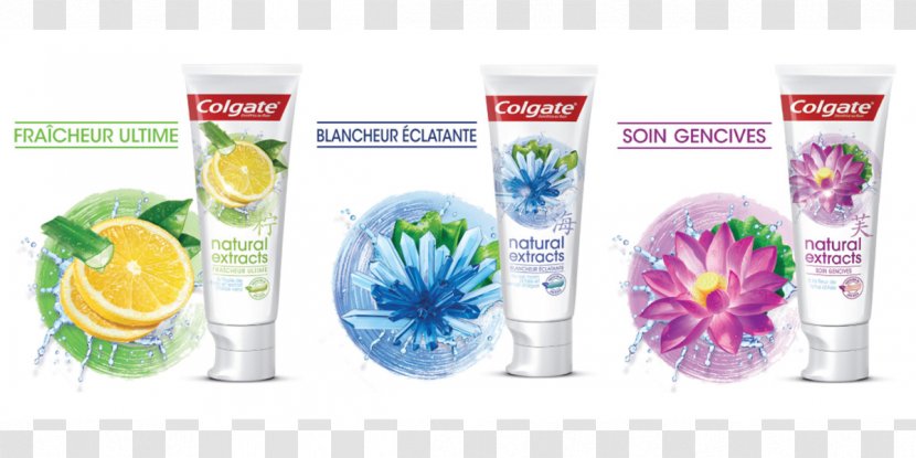 Colgate-Palmolive Toothpaste Shampoo Yves Rocher - Gums Transparent PNG