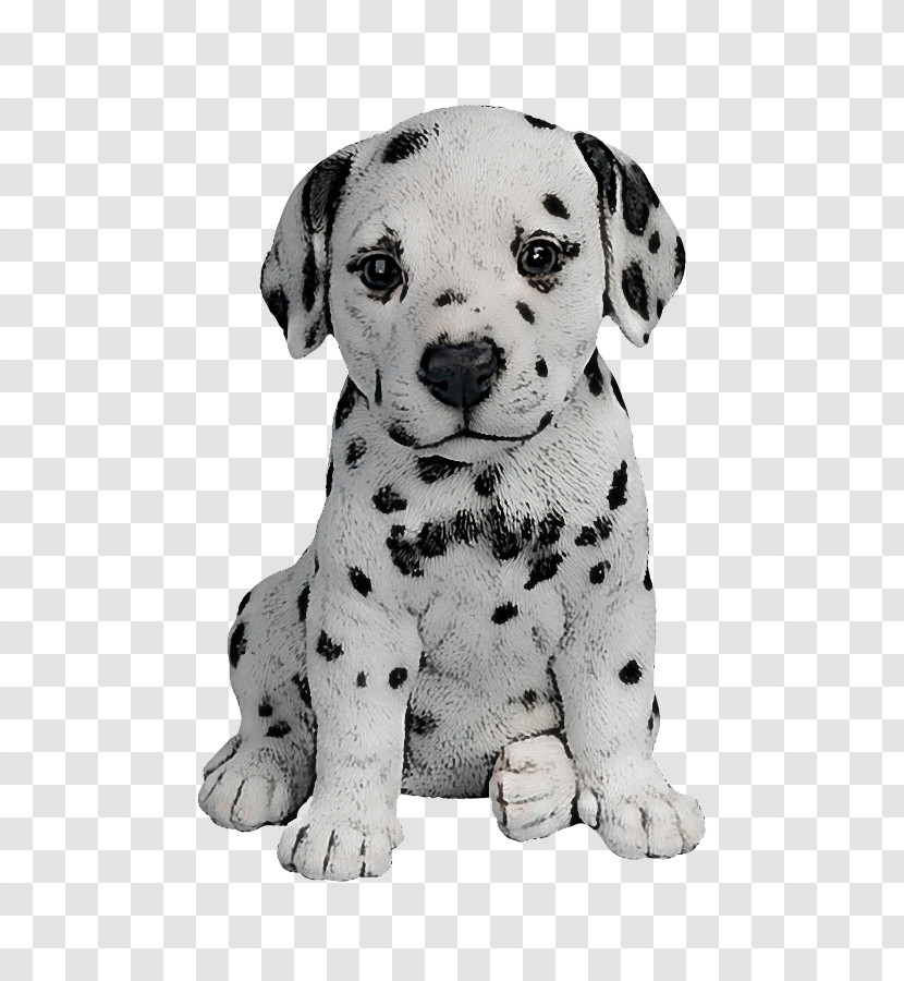 Dog Dalmatian Puppy Non-sporting Group Snout Transparent PNG