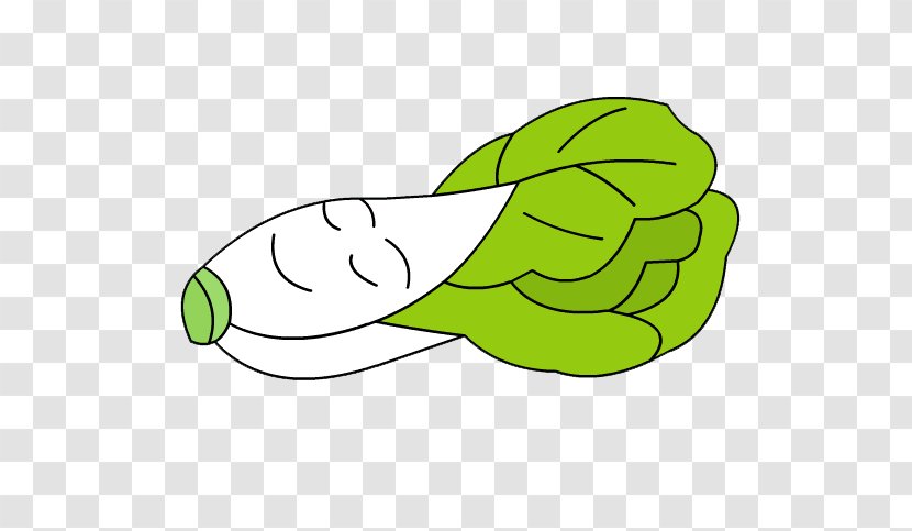 Napa Cabbage Cartoon Chinese - Green Vegetables Transparent PNG