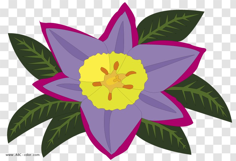 Clip Art Raster Graphics Petal Flower Creative Commons License Transparent PNG