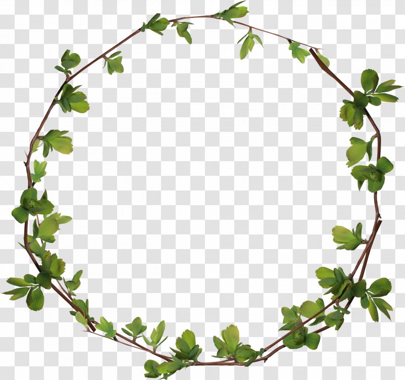 Circle Clip Art - Flower - Leaves Ring Transparent PNG