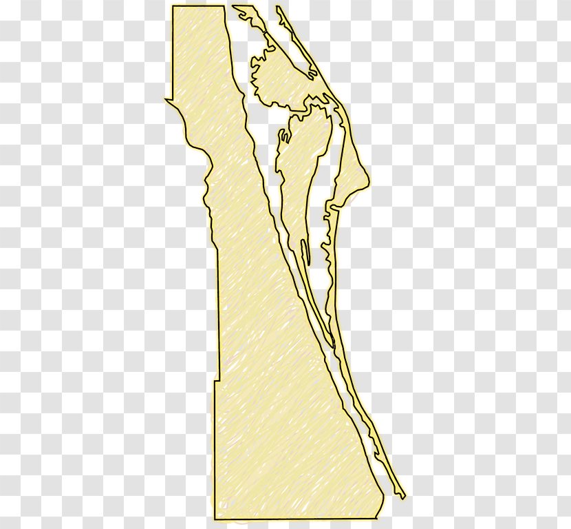 Brevard County Map White - Art - Tree Transparent PNG