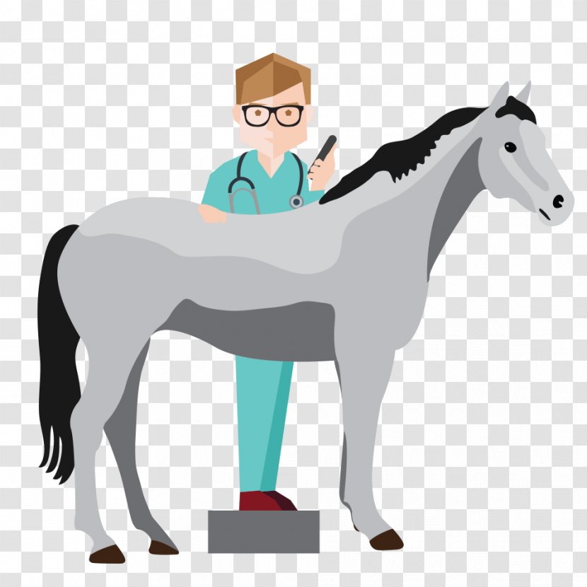 Pony Foal Colt Mustang Stallion - Neck - Veterinary Doctor Transparent PNG