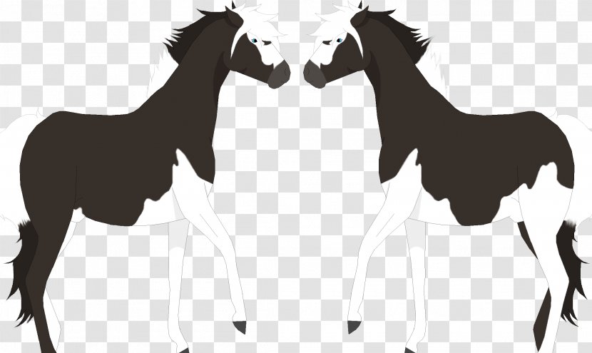 Mustang Foal Stallion Colt Donkey - Mane Transparent PNG