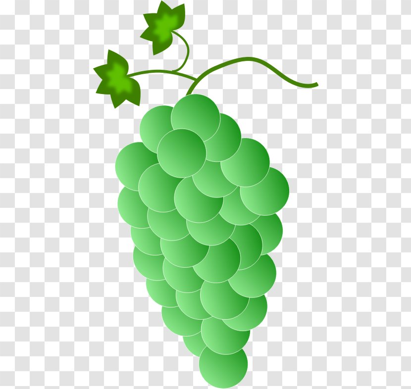Common Grape Vine Wine Clip Art Color Transparent PNG