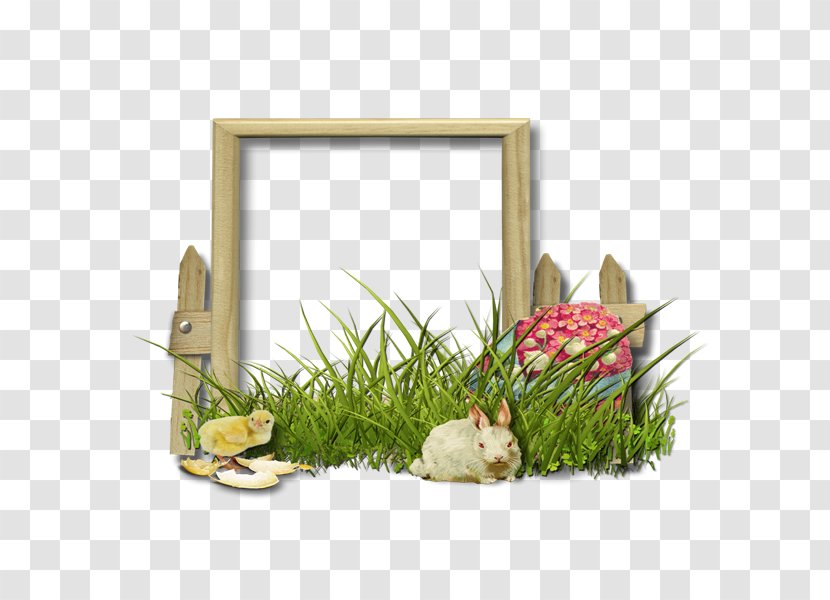 Floral Design Picture Frames Grasses Flower - Adorn Transparent PNG