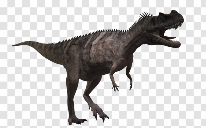 Ceratosaurus Carnotaurus Tyrannosaurus Allosaurus Dinosaur - Animal Figure - Small Transparent PNG