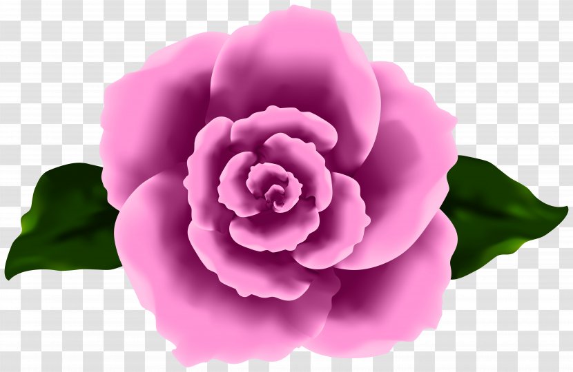 Pink Flower Cartoon - Petal - Perennial Plant Floribunda Transparent PNG