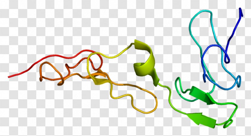 Protein S Deficiency Myelin Zero - Cartoon - Watercolor Transparent PNG