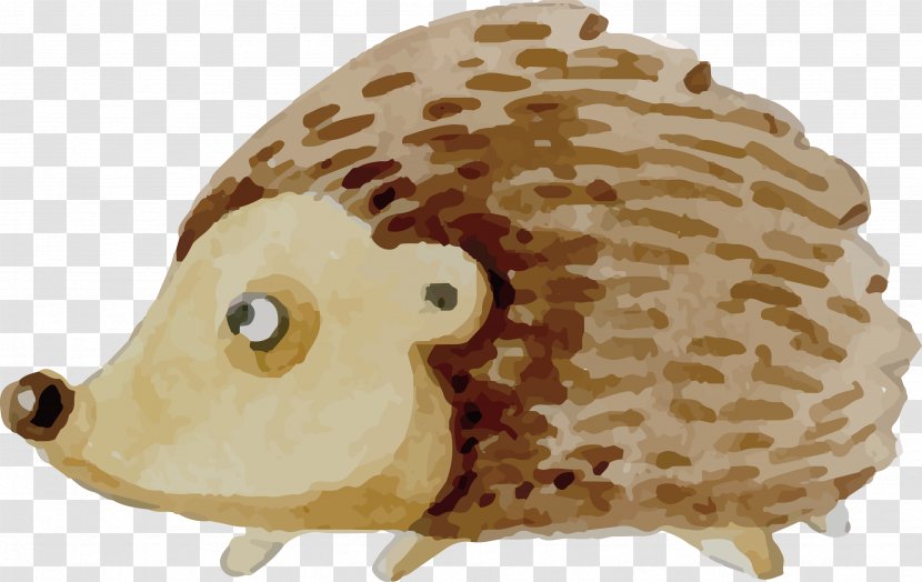 Taiyaki Snout Erinaceidae Carnivora - Cartoon Hedgehog Design Transparent PNG