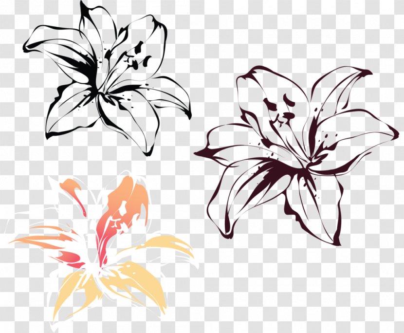 Lilium Drawing Painting Clip Art - Cartoon Transparent PNG