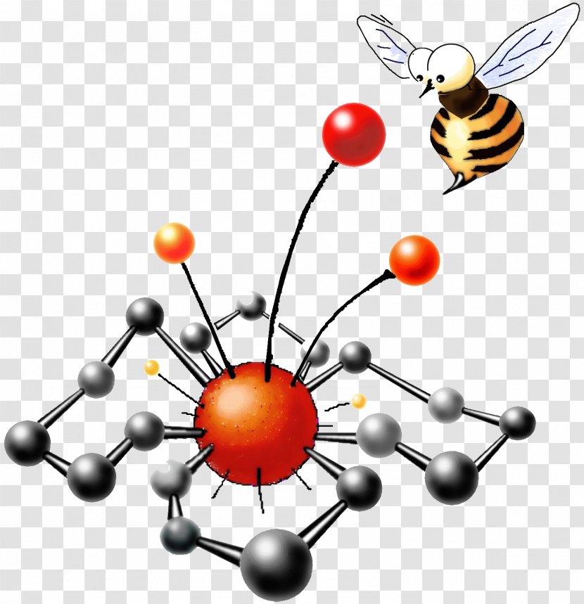 Insect Organic Chemistry Orange S.A. Clip Art - Glassware Transparent PNG