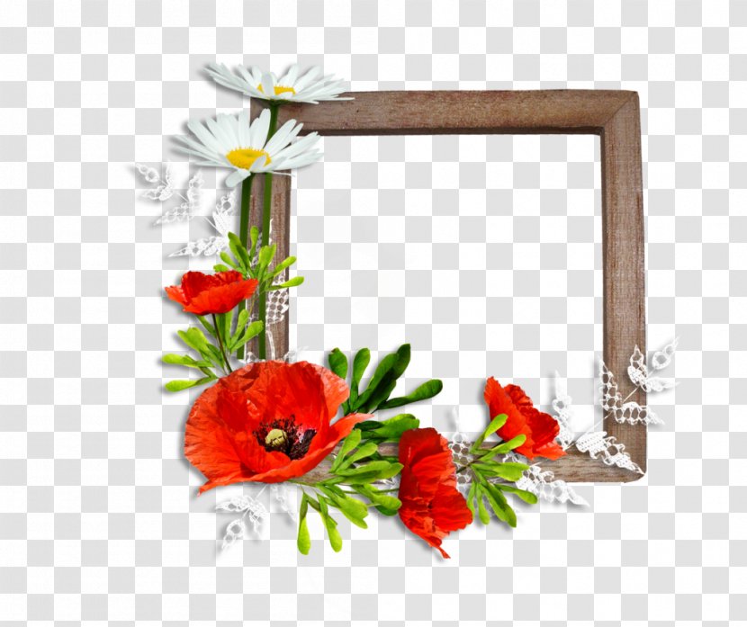 Picture Frames Poppy Flower Photography - Information - Red Frame Transparent PNG
