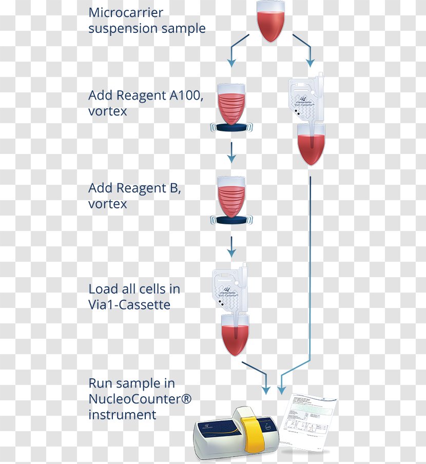 Stemware Glass Water - Cell Culture Transparent PNG