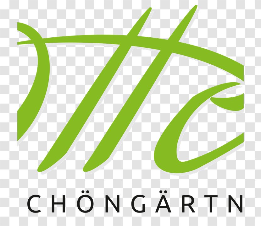 Logo Brand Clip Art Font Product - Text Transparent PNG