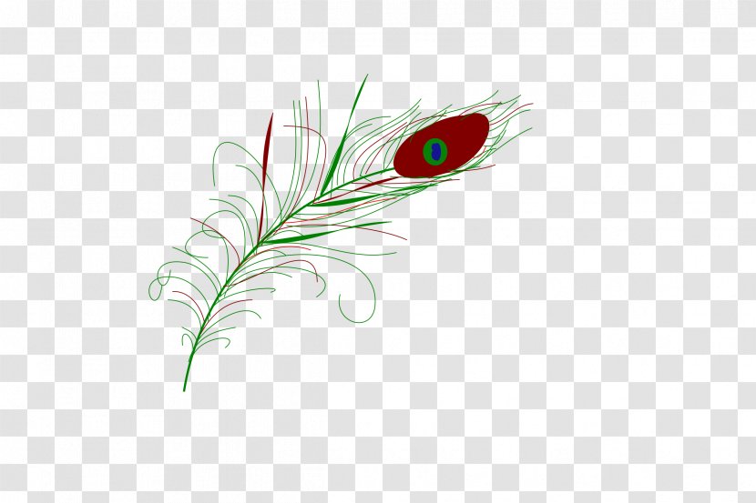 Feather Quill Corp Leaf - Plant - Peacock Transparent PNG