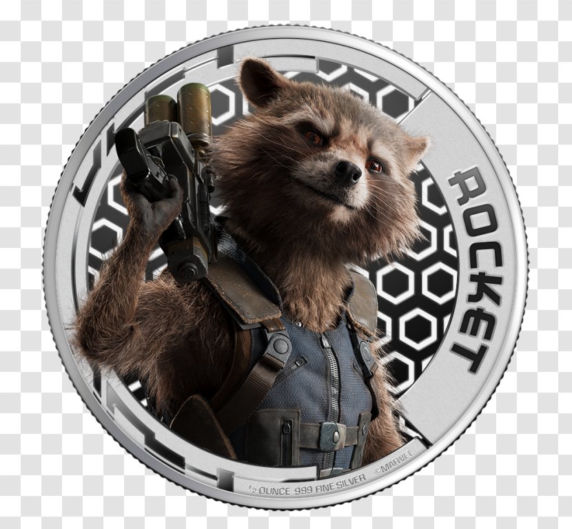 Rocket Raccoon Star-Lord Gamora Drax The Destroyer Groot Transparent PNG
