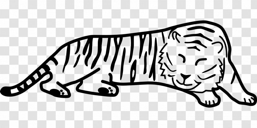 Black Tiger Drawing Saber-toothed Cat Clip Art - Dog Like Mammal Transparent PNG