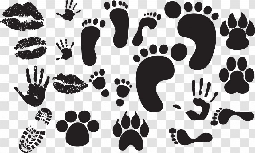 Footprint Download Clip Art - Graphic Designer - Footprints Transparent PNG