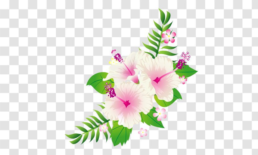 Shoeblackplant Cut Flowers Roselle Smartphone ラクマ - Mallow Family - Flowering Plant Transparent PNG