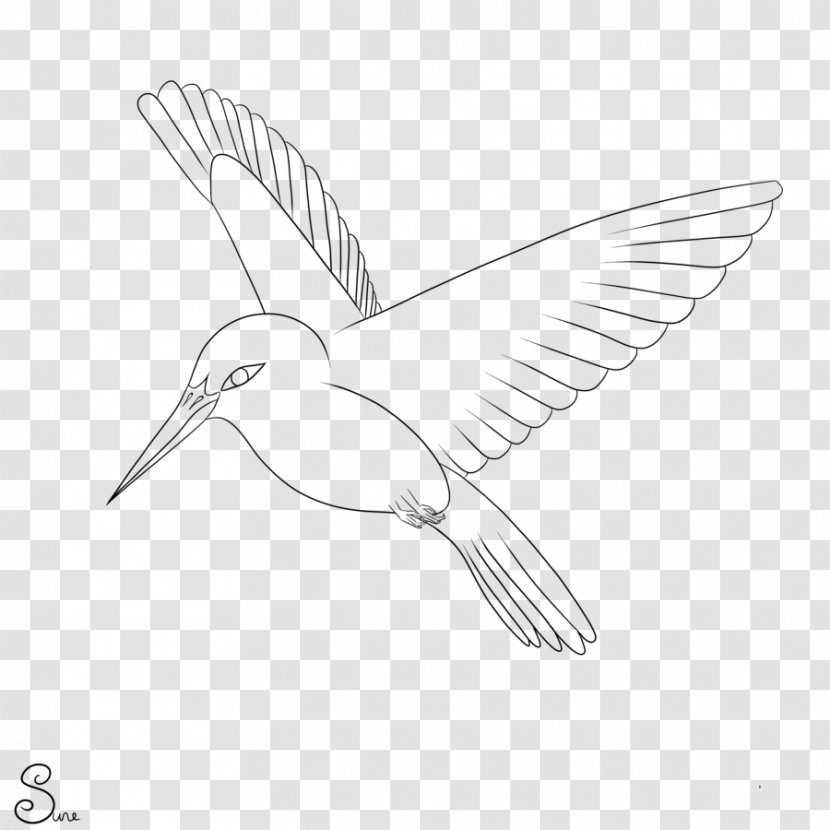 Bird Drawing Monochrome Black And White - Shorebird - Line Transparent PNG