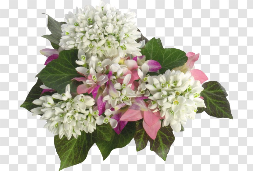 Flower Bouquet Snowdrop - Flowering Plant - Shah Rukh Khan Transparent PNG