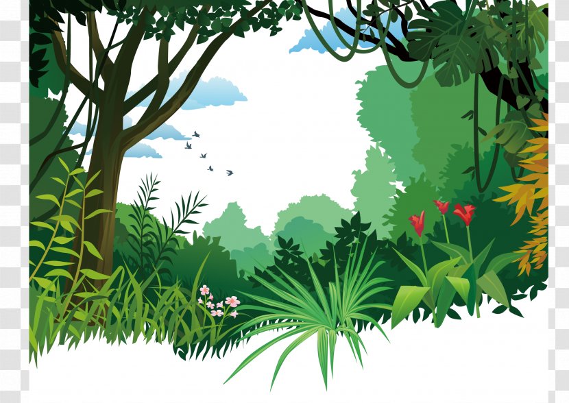 Tropical And Subtropical Moist Broadleaf Forests Poster - Tropics - Forest,Poster Background,Rainforest,forest Transparent PNG