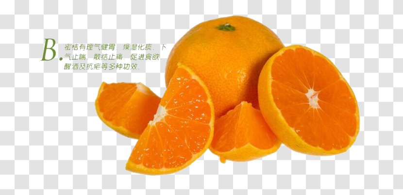 Clementine Citrus Japonica Mandarin Orange Margarita - Satsuma - Golden Composition Transparent PNG