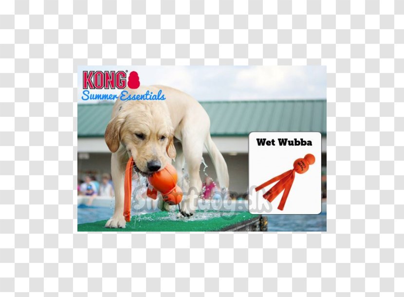 Dog Toys Kong Company Puppy - Love Transparent PNG