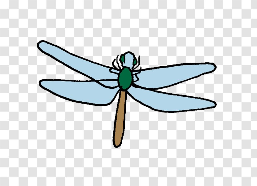 Insect Illustration Dragonfly Clip Art Ant - Fly - Asaka Transparent PNG
