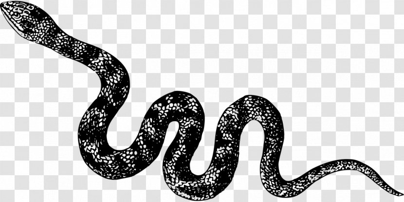 T-shirt Snake Cobra Spreadshirt - Serpent Transparent PNG