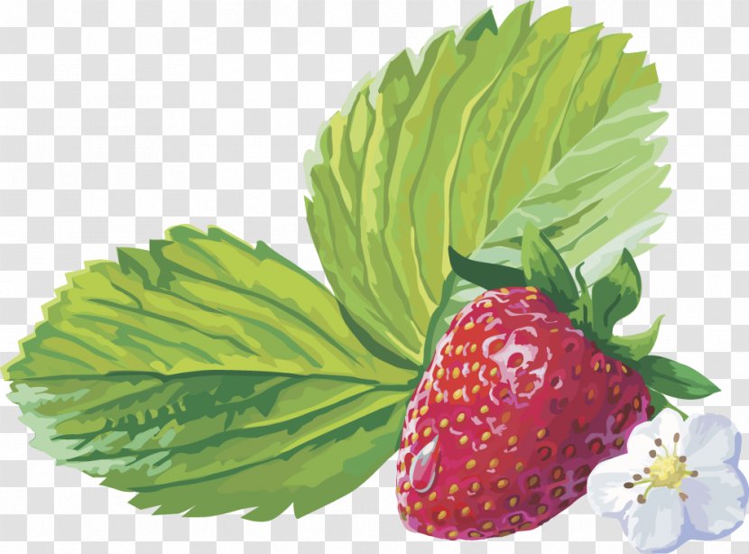 Musk Strawberry Amorodo Clip Art - Berry - Vector Fruit Transparent PNG