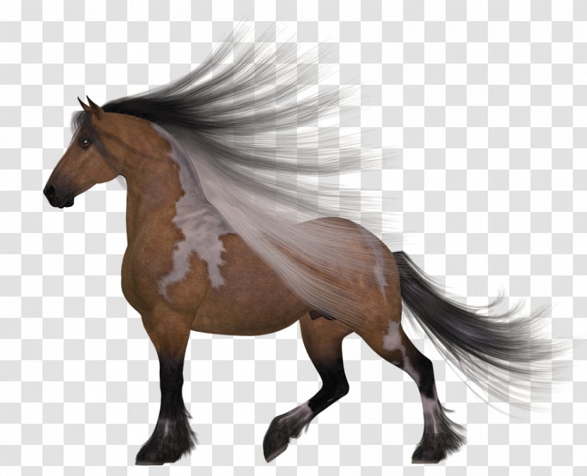 Mane Mustang Stallion Gypsy Horse Shire Transparent PNG
