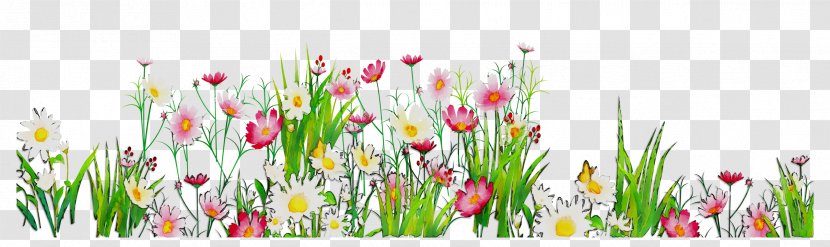 Tulip Desktop Wallpaper Plant Stem Grasses Computer - Petal Transparent PNG
