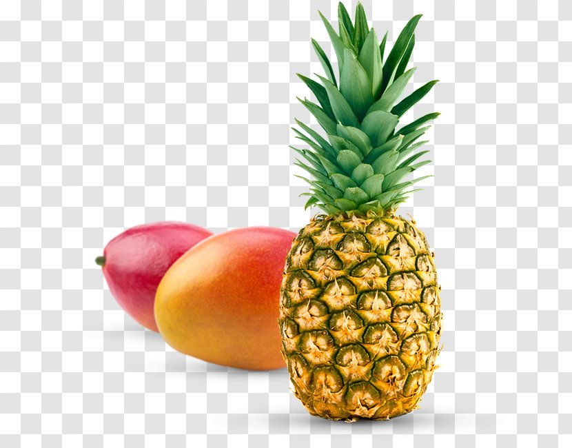 Juice Smoothie Nectar Pizza Pineapple - Mango Transparent PNG