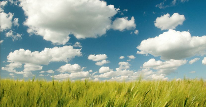 Cloud Computing Climate Model Sky Storage - Meadow - Nature Transparent PNG