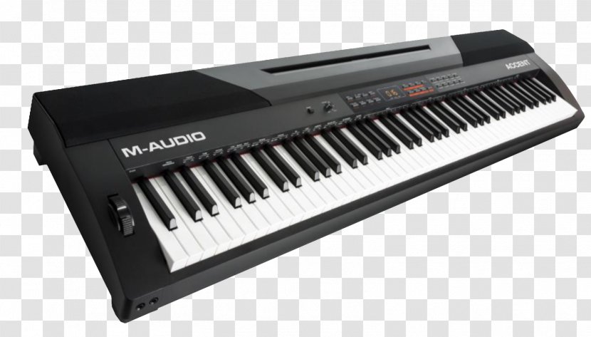 M-Audio Digital Piano MIDI Controllers Keyboard - Flower Transparent PNG