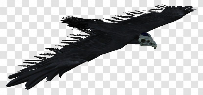 Condor The Elder Scrolls V: Skyrim Bird Hawk Eagle - Bone Transparent PNG