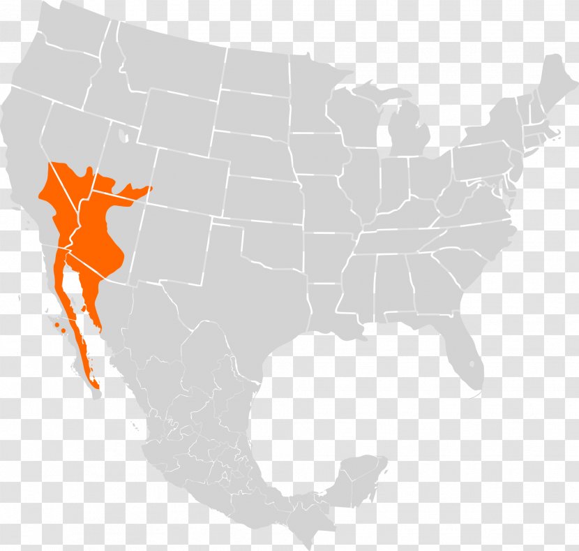 Common Chuckwalla Luff Industries Ltd Lizard United States Of America Tracfone 450 Minutes And 90 Days Service - Map Transparent PNG