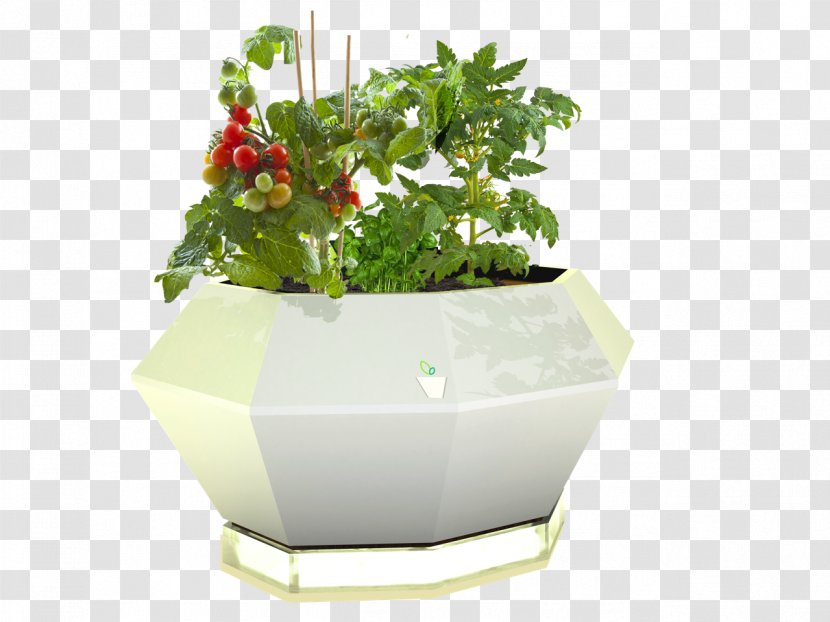 Flowerpot Jardiniere Ceramic Porcelain Garden - Wood - Ombre Transparent PNG