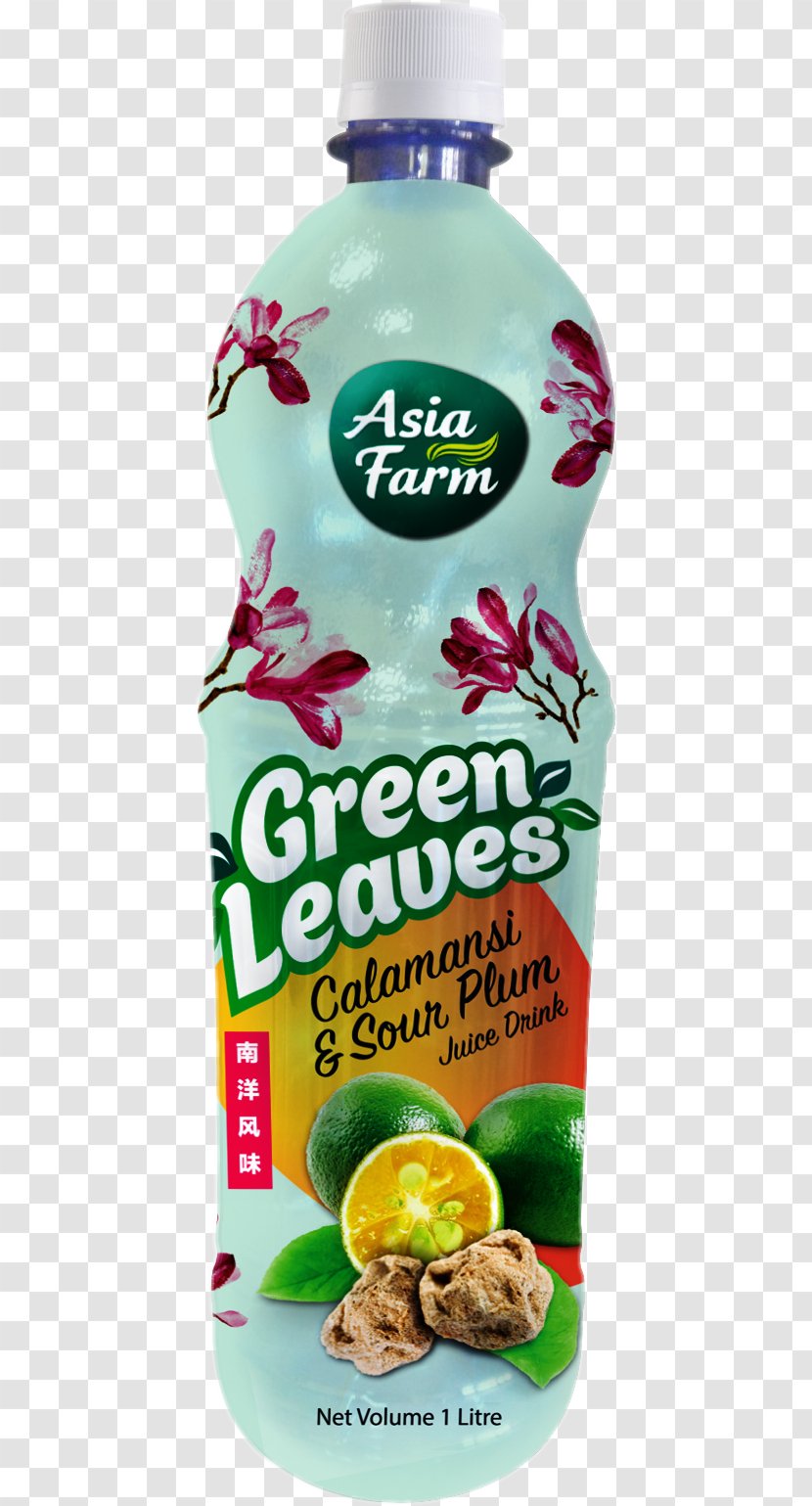 Juice Sour Squash Food Drink - Lime - Soursop Transparent PNG