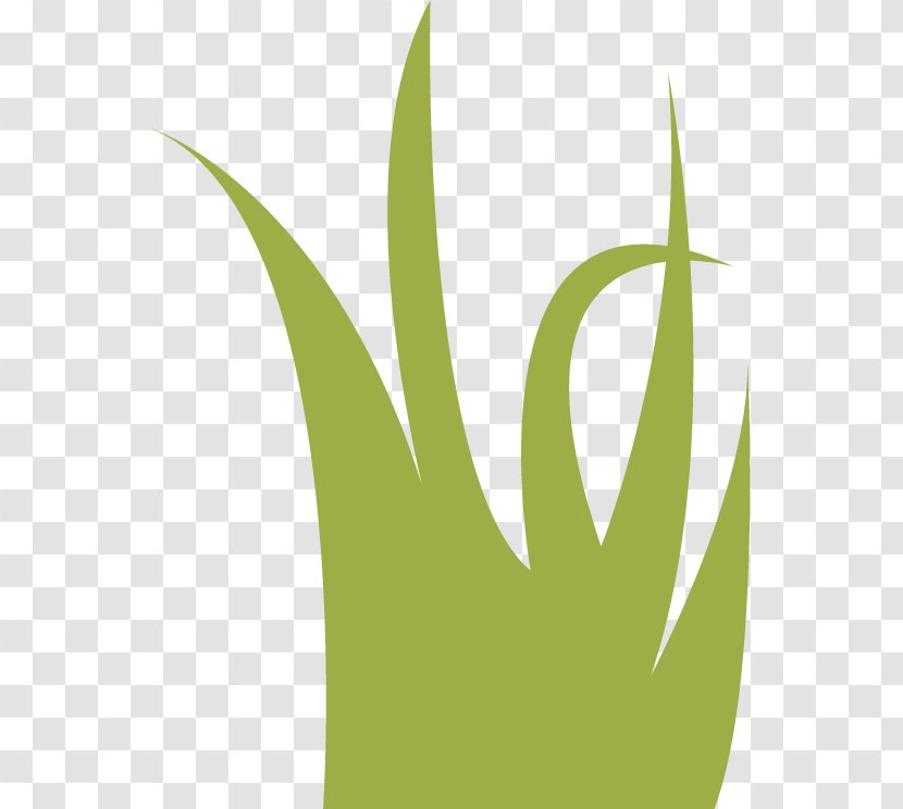 Leaf Logo Grasses - Green - Lake Clipart Transparent PNG