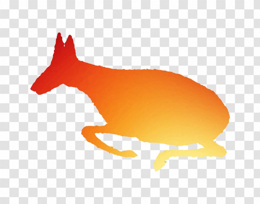 Red Fox Dog Canidae Mammal Clip Art - Rabbit - Orange Sa Transparent PNG