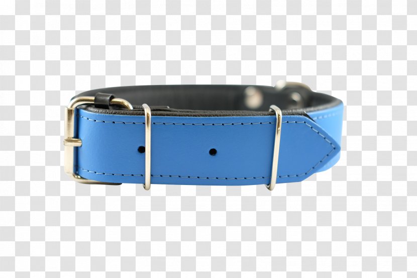 Dog Collar Watch Strap - Buckle Transparent PNG