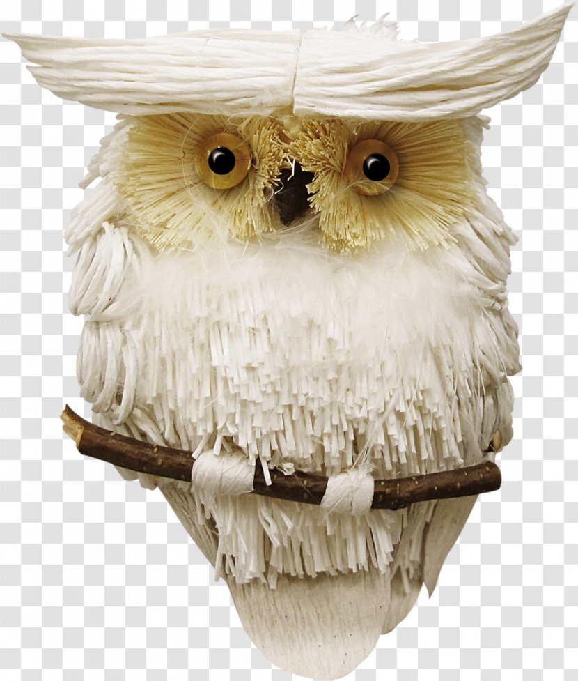 Owl Bird PaintShop Pro Clip Art - Beak - Gull Transparent PNG